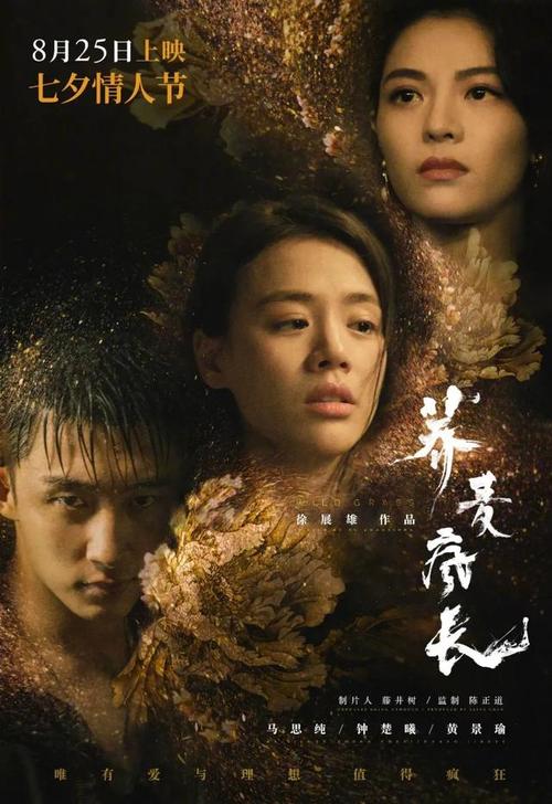 购买假上海浦东发展银行ATM机转账凭条